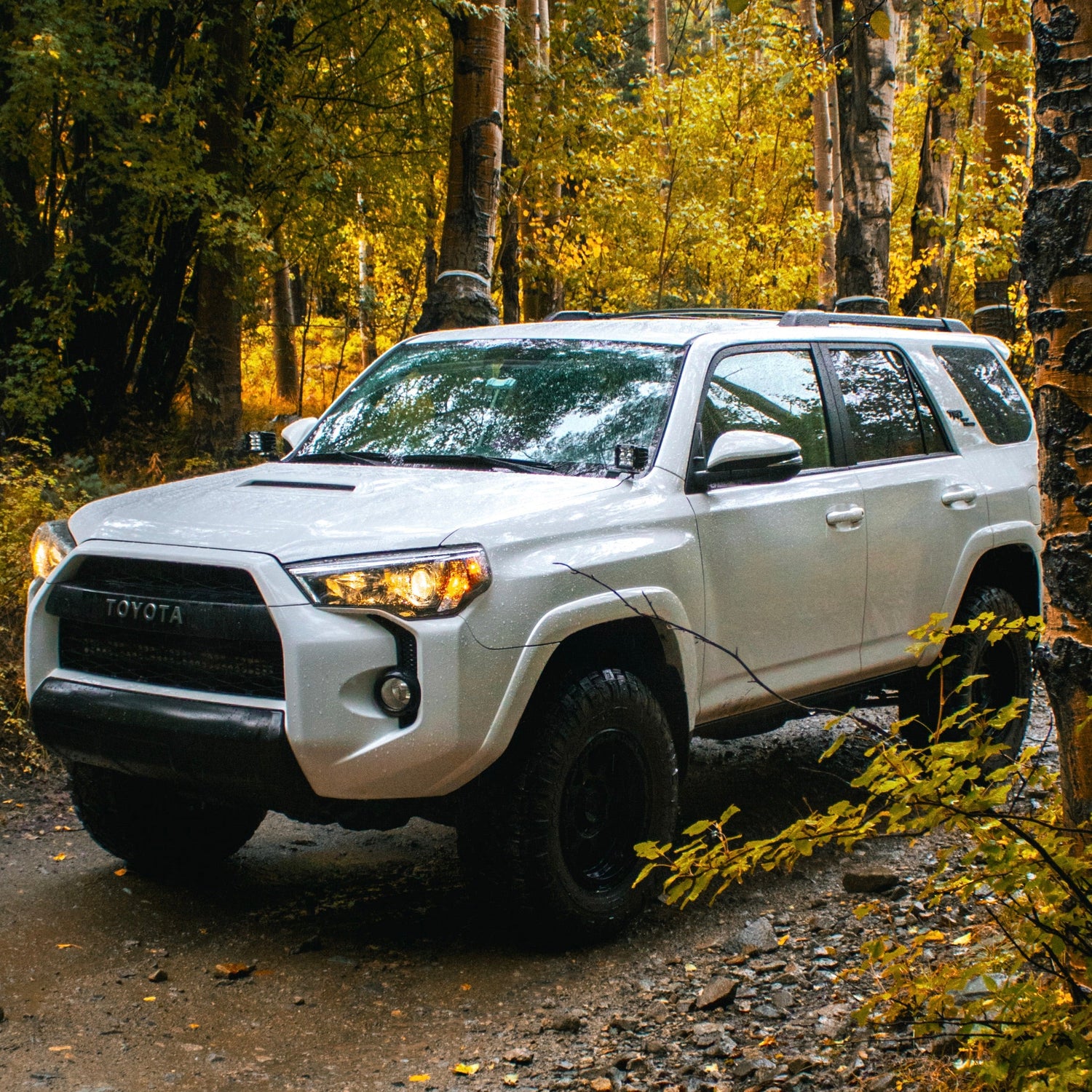 4Runner: 5th Gen